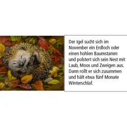 Adventskalender 