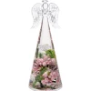 Dreamlight "Frozen Nature" - Engel Medium