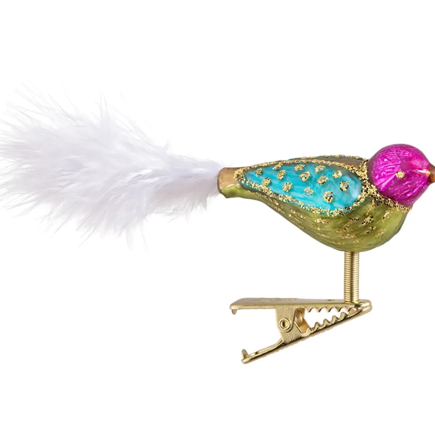 Glasvogel Bunt/Grun