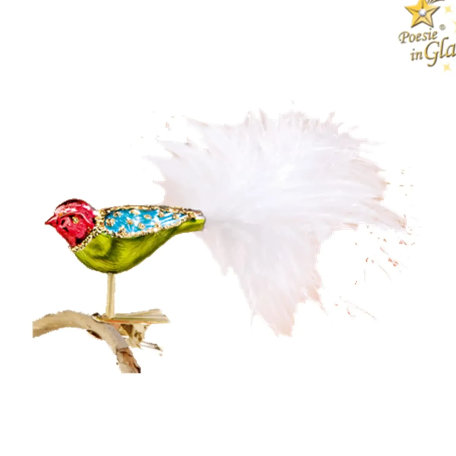 Glasvogel Bunt/Grun