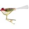 Glasvogel Gold-Bunt