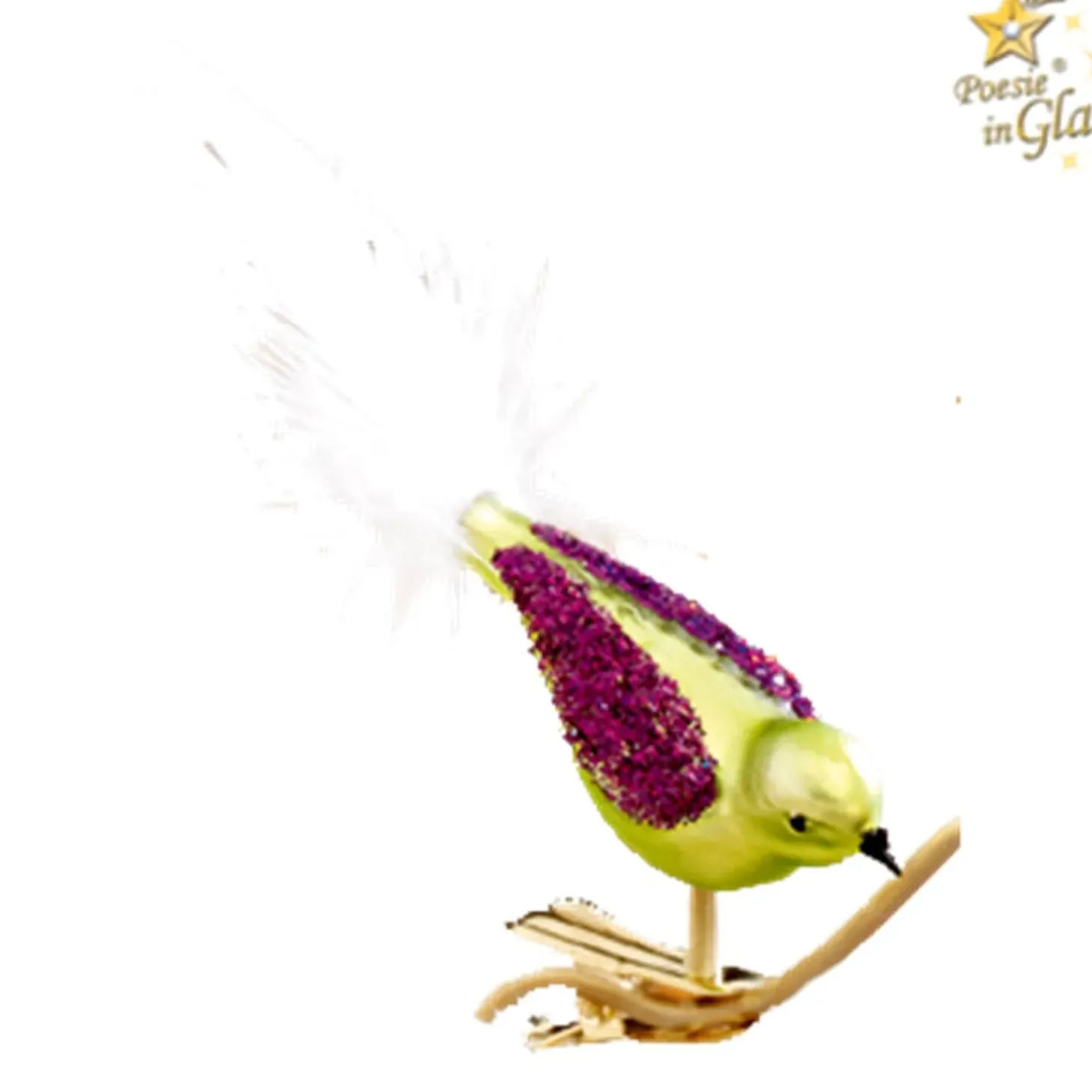 Glasvogel Grun-Lila