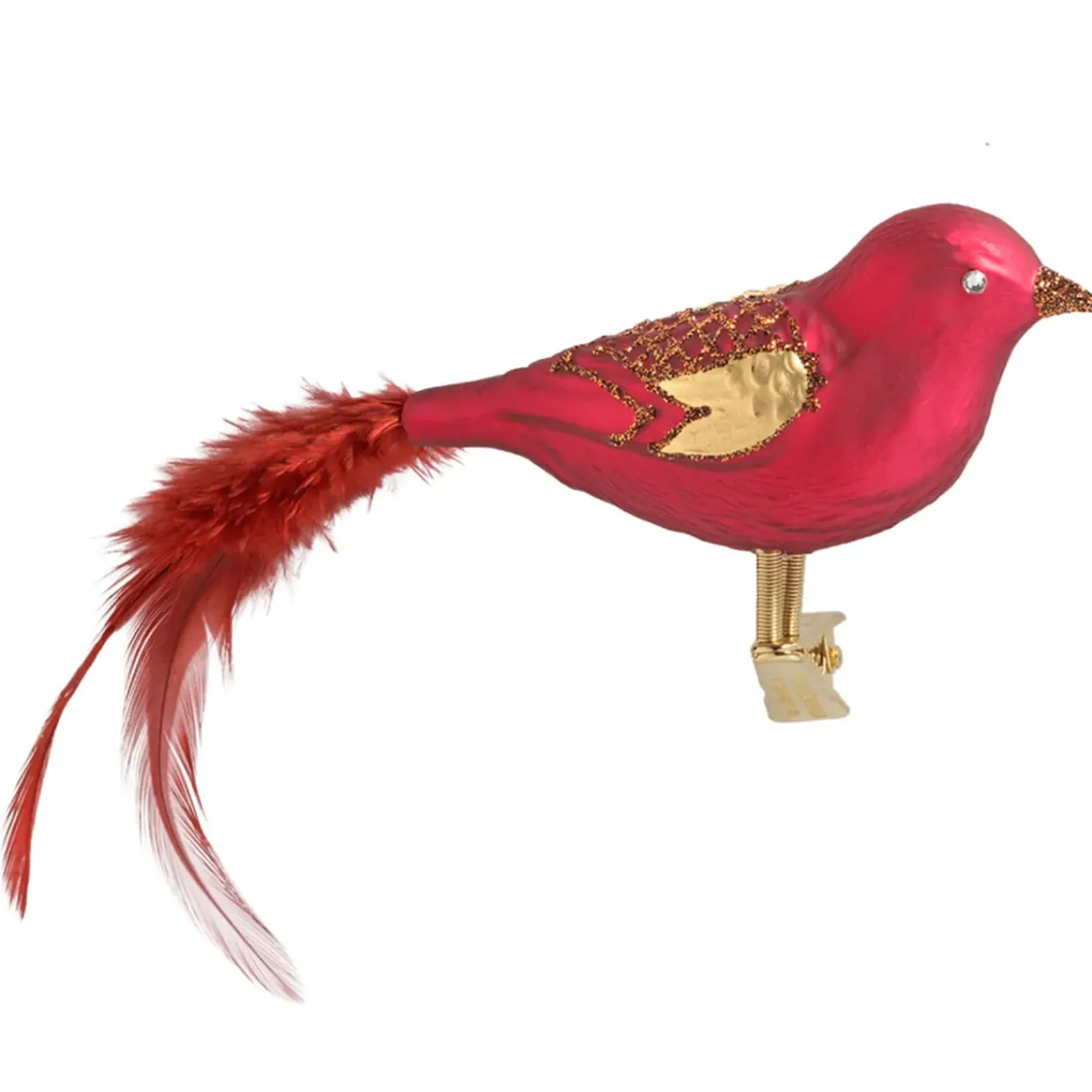 Glasvogel Rot-Kupfer
