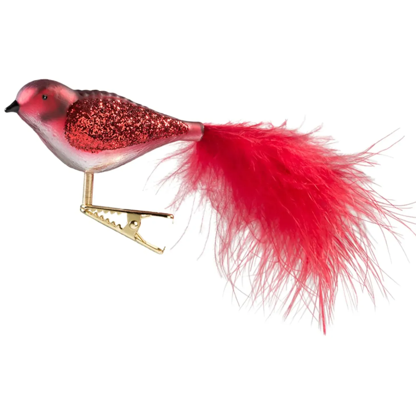 Glasvogel Rot-Weis