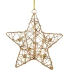 Goldener Stern