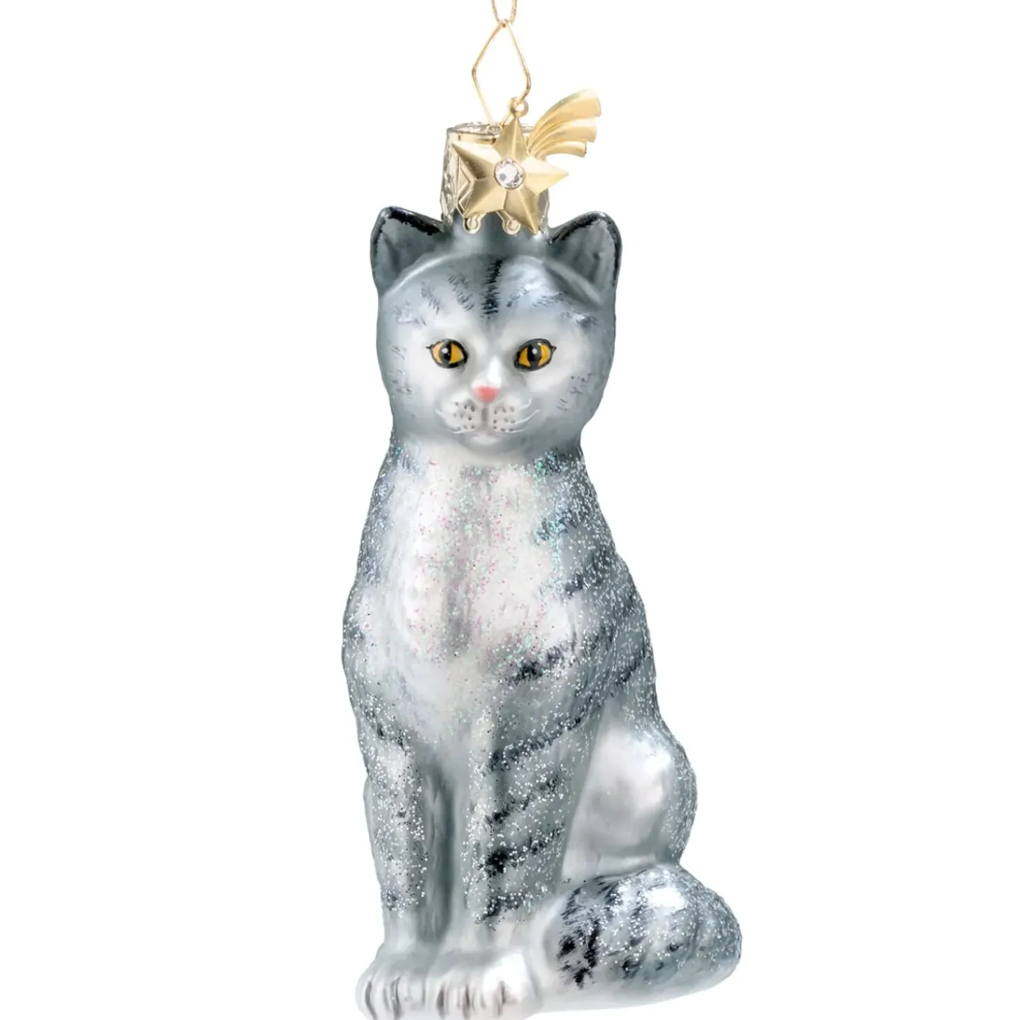 Hauskatze