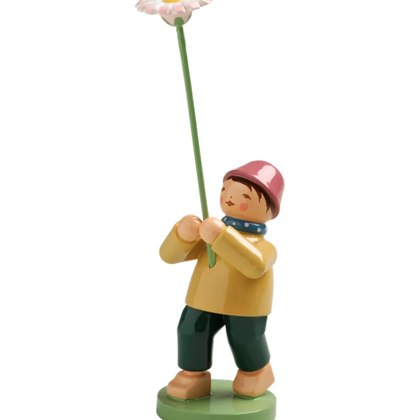 Junge Mit Ganseblumchen