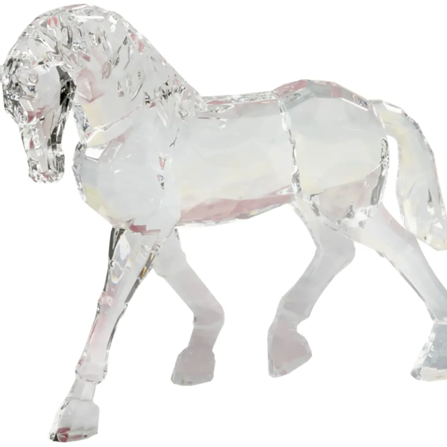 Pferd Mit Gesenktem Kopf, Acryl
