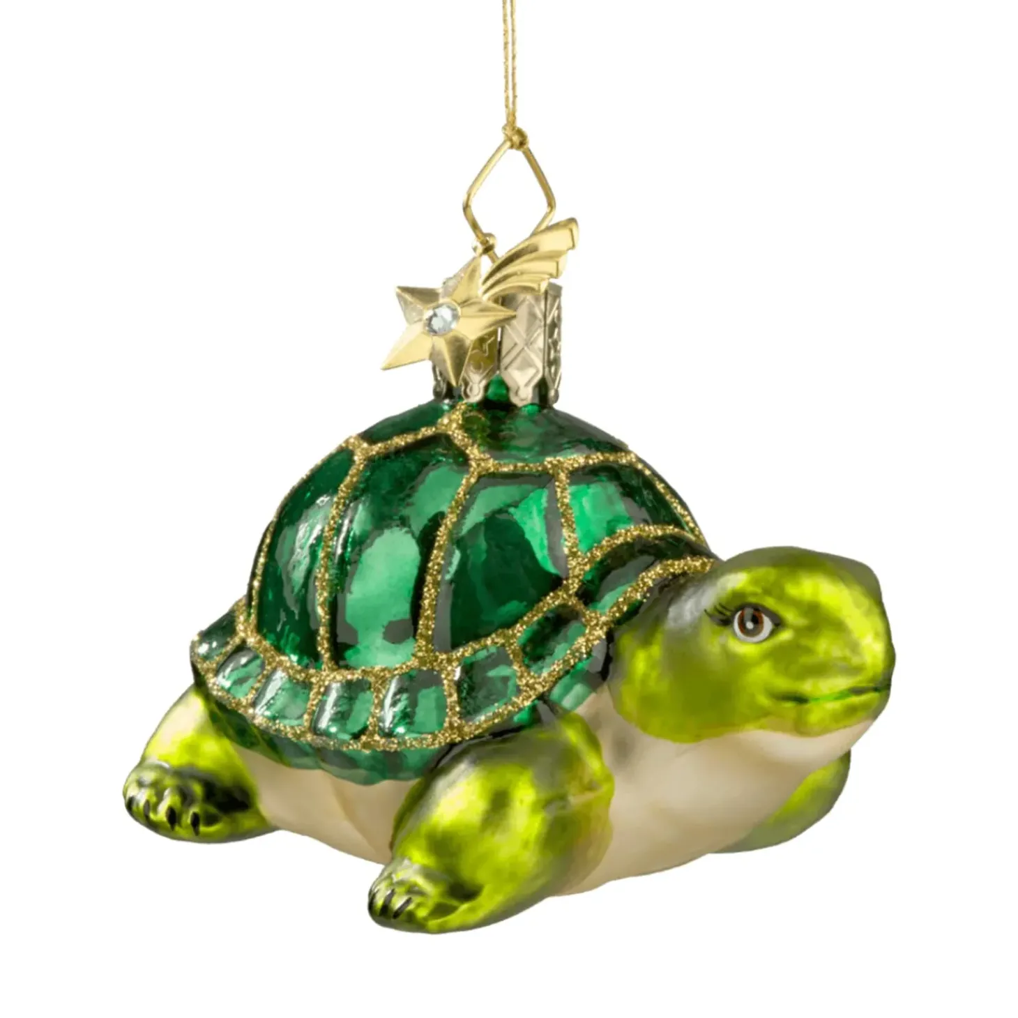 Schildkrote
