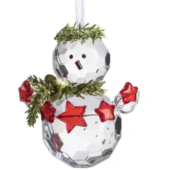 Schneemann Mit Sternchen