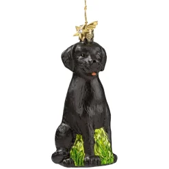 Schwarzer Labrador