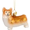 Welsh Corgi