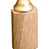 Zaunsaule Mit Goldener Kappe